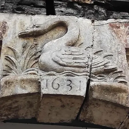 Grand Studio Centre-ville Zen & Vivant