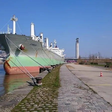 Grand Studio Centre-ville Zen & Vivant