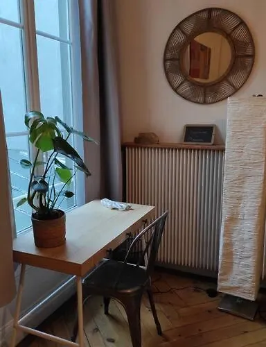 Grand Studio Centre-ville Zen & Vivant *