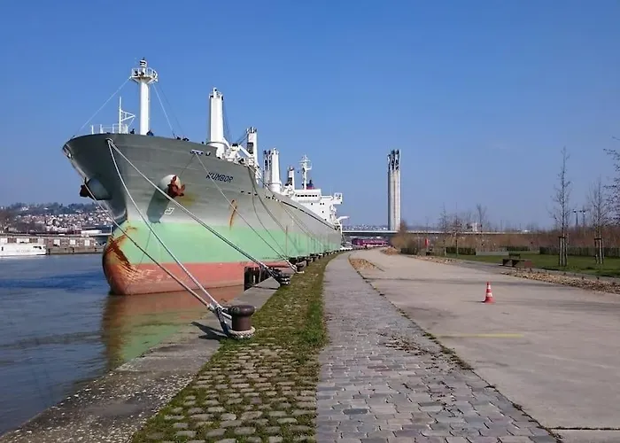 Grand Studio Centre-ville Zen & Vivant