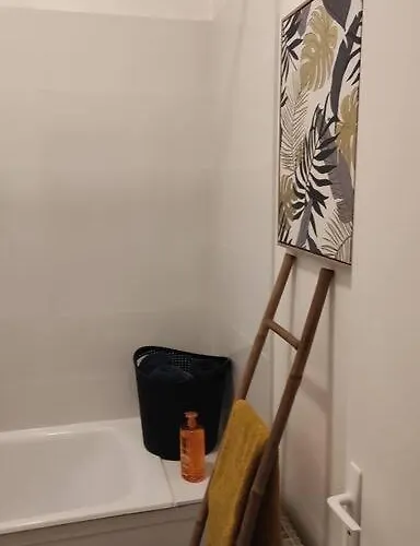 Grand Studio Centre-ville Zen & Vivant Appartement