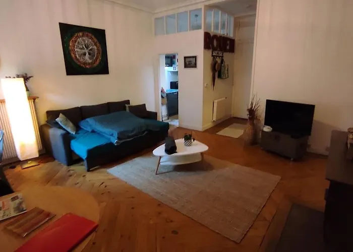 Grand Studio Centre-ville Zen & Vivant * Rouen