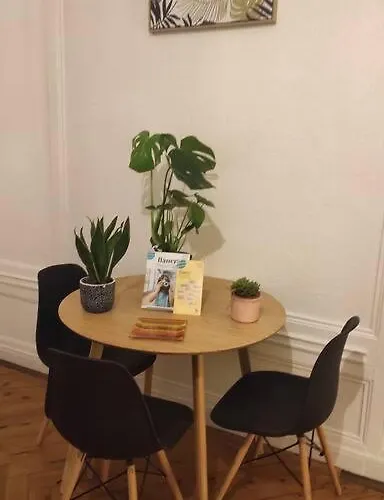 Grand Studio Centre-ville Zen & Vivant Appartement *